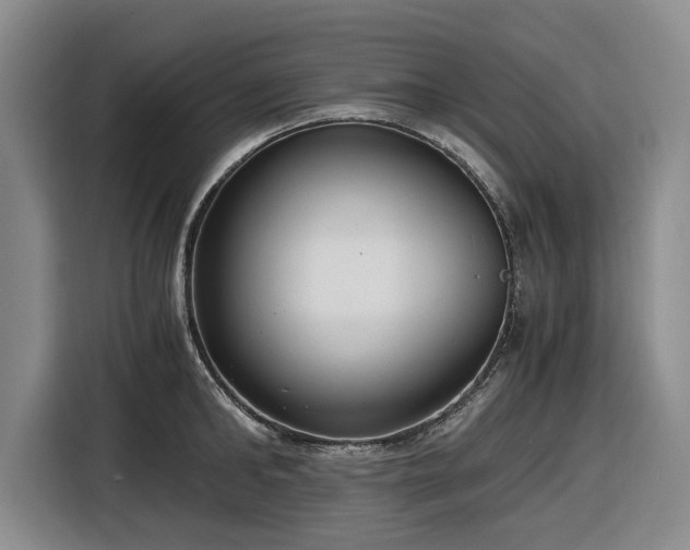 X0000116480902200912161250