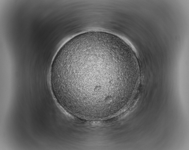 X0000116480903200912161250