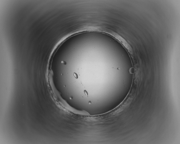 X0000116480904200912161250