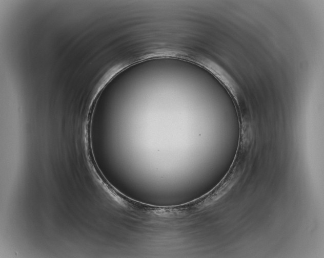 X0000116480906200912161250