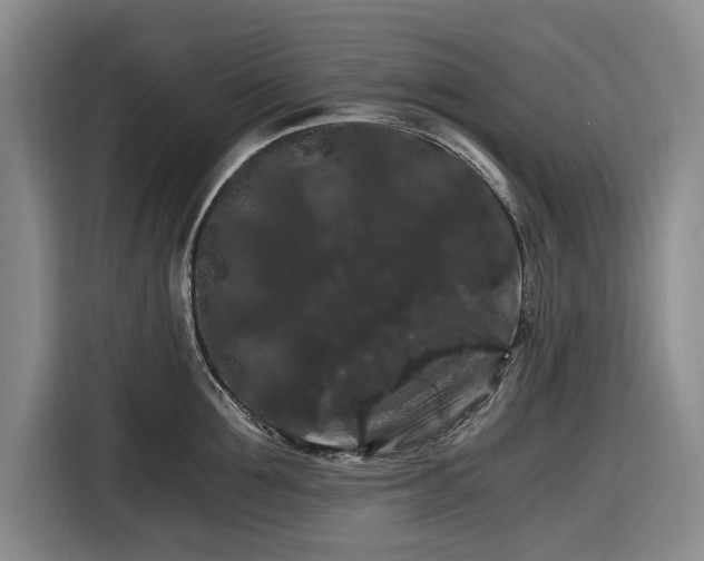 X0000116480907200912161250