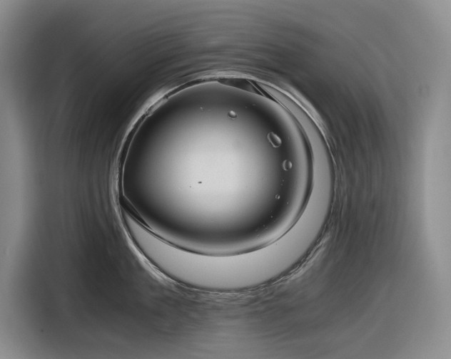 X0000116480909200912161249