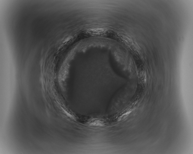 X0000116480913200912161249