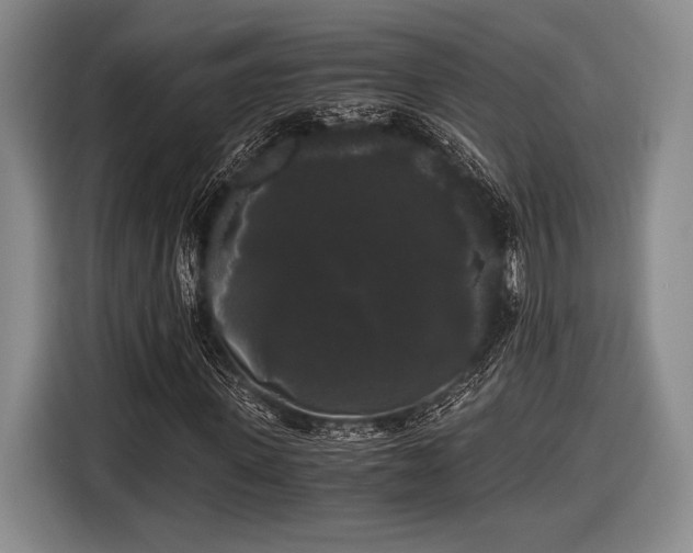 X0000116480915200912161249