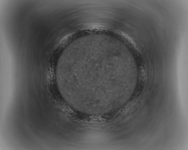 X0000116480918200912161249