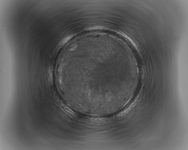 X0000116480921200912161249