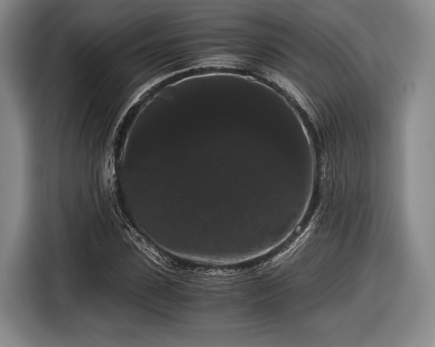 X0000116480923200912161249