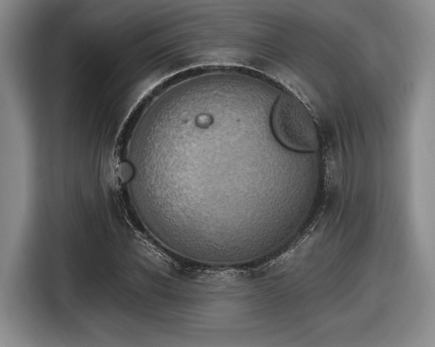 X0000116480926200912161249