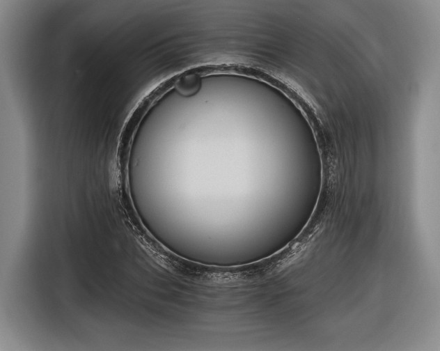 X0000116480927200912161249