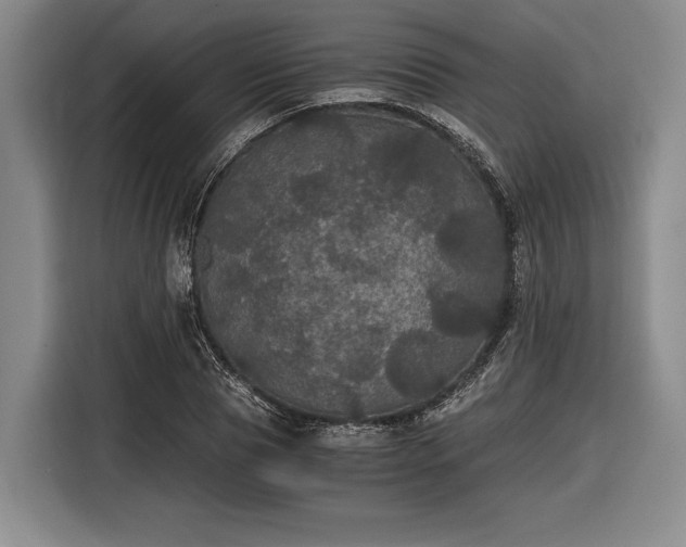 X0000116480929200912161249