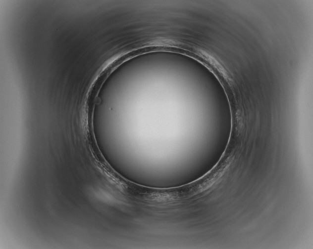 X0000116480931200912161249