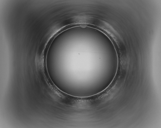 X0000116480933200912161249