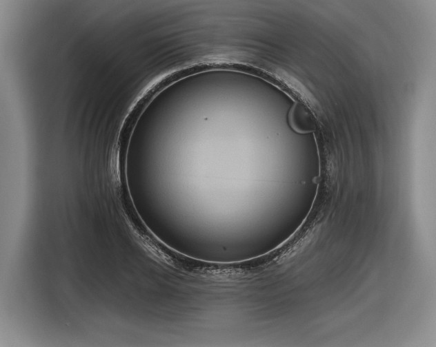 X0000116480934200912161249