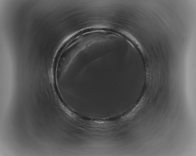 X0000116480935200912161249