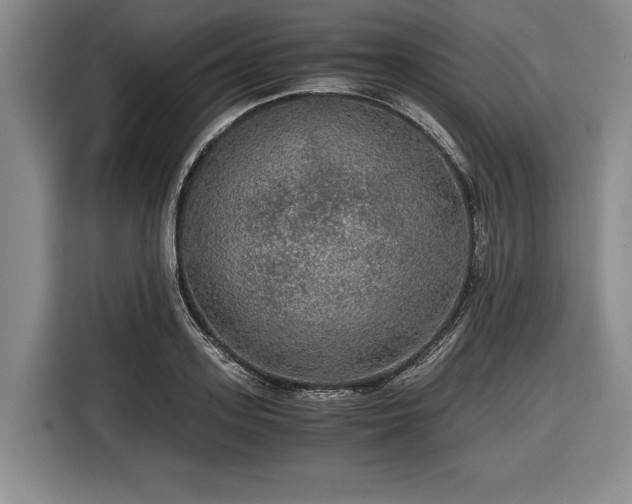 X0000116480939200912161249