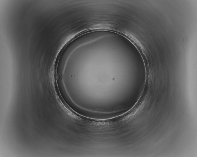 X0000116480941200912161249