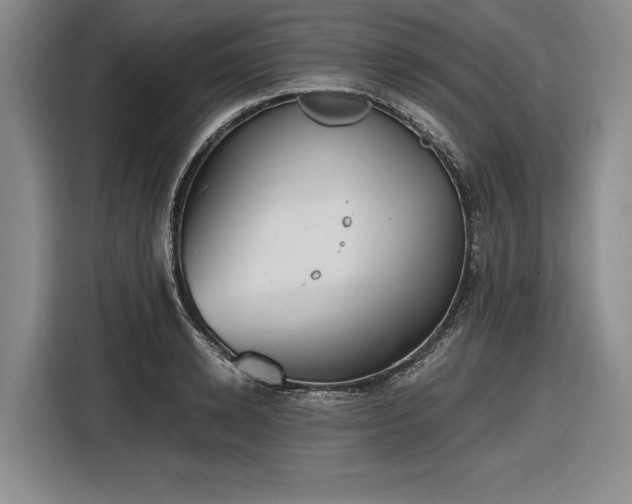 X0000116480942200912161249