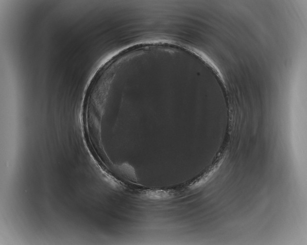 X0000116480943200912161249