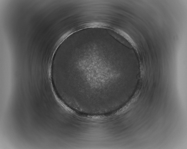 X0000116480946200912161249