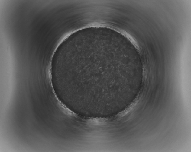 X0000116480950200912161249