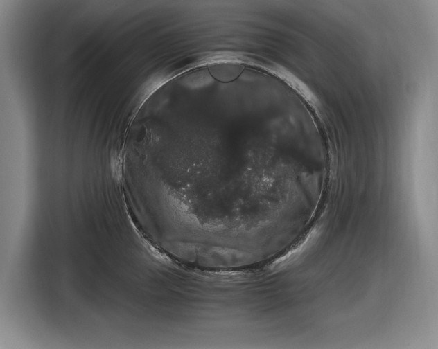 X0000116480953200912161249