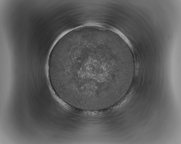 X0000116480955200912161249