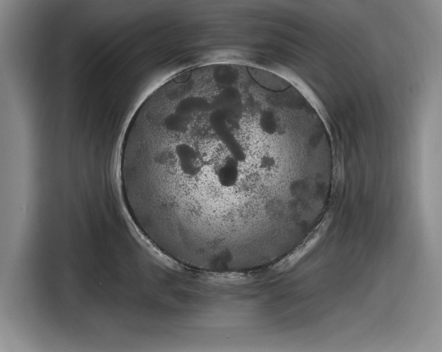 X0000116480957200912161249