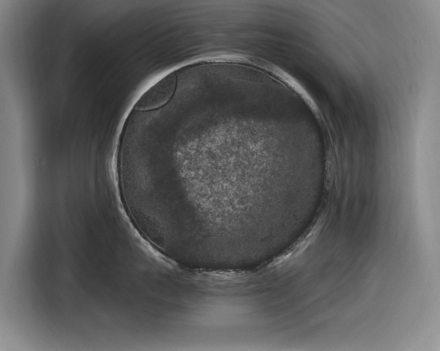 X0000116480959200912161249