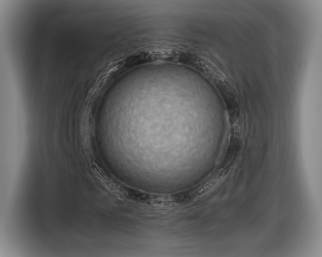 X0000116480961200912161249