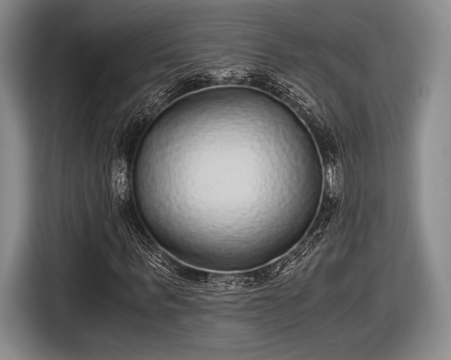 X0000116480963200912161249