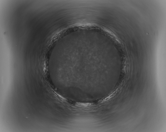 X0000116480966200912161249