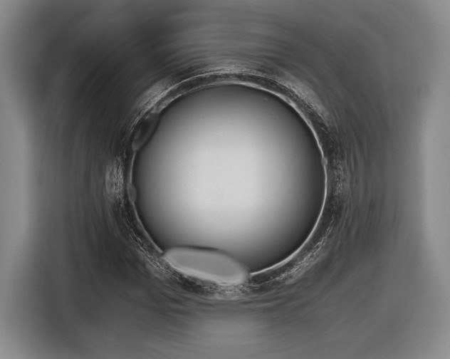 X0000116480969200912161249