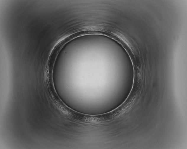 X0000116480971200912161249