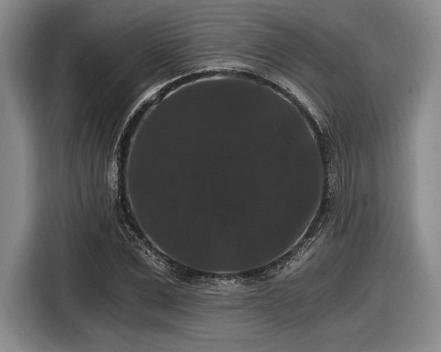 X0000116480975200912161249