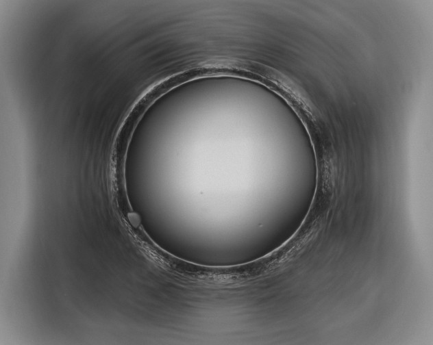 X0000116480976200912161249