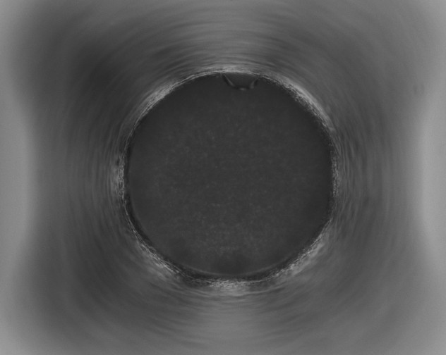 X0000116480977200912161249