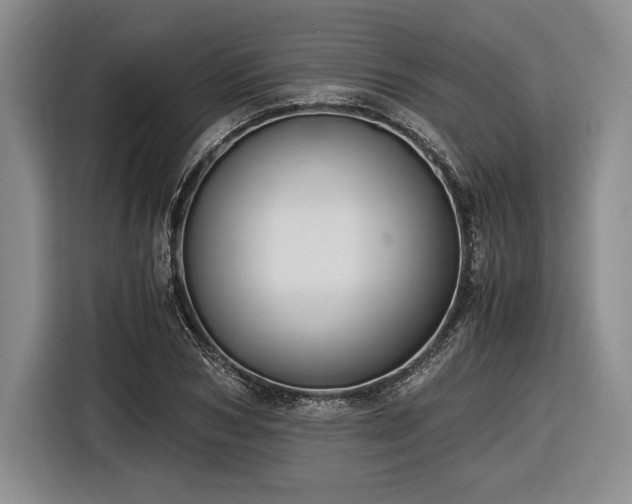 X0000116480978200912161249