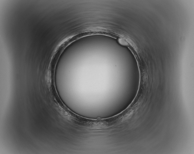 X0000116480979200912161249