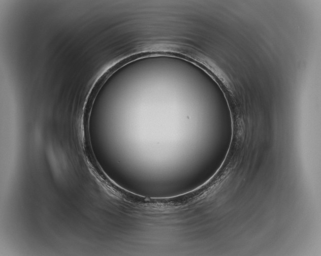 X0000116480980200912161249