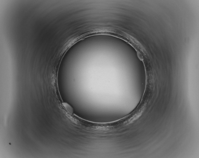 X0000116480985200912161249