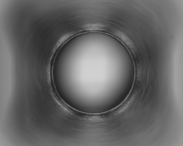 X0000116480986200912161249