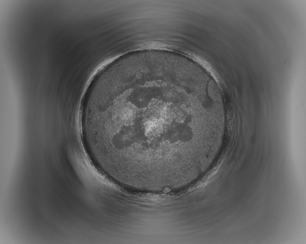 X0000116480987200912161248