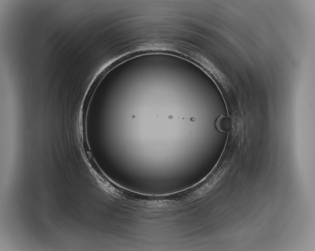 X0000116480988200912161248