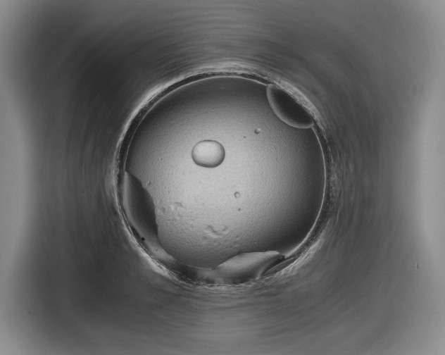 X0000116480989200912161248