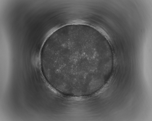 X0000116480990200912161248