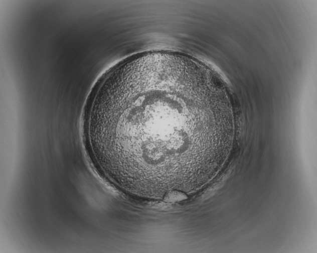 X0000116480991200912161248