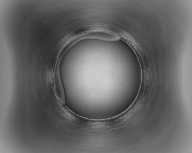 X0000116480993200912161248