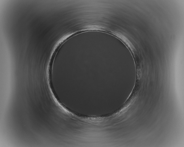 X0000116480995200912161248