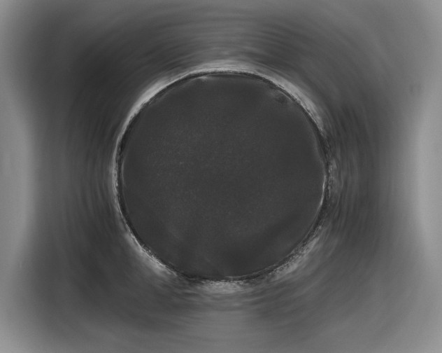 X0000116480998200912161248