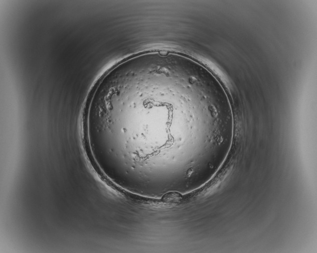 X0000116480999200912161248